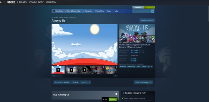 Among Us for PC